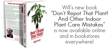 "Don't Repot That Plant! And other Indoor Plant Care Mistakes"